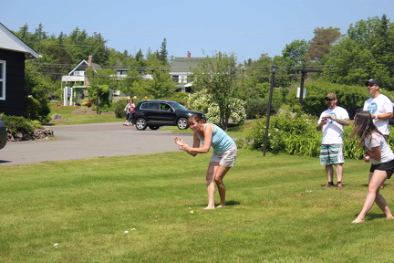 IMG 3705