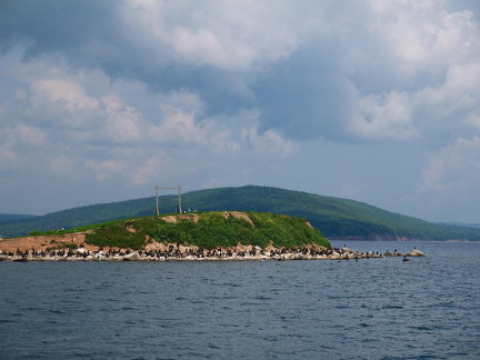 CoadyReunion2015 - 2015-07-13 11.52.58 (Michelle C.)